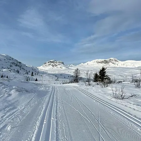 Traditional Log At Reineskarvet *