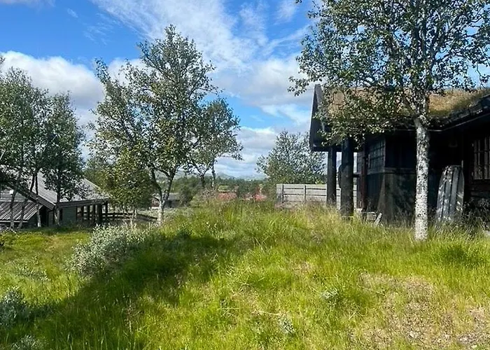 Traditional Log At Reineskarvet Дом отдыха