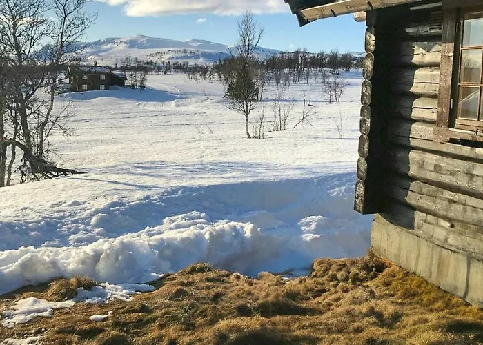 Дом отдыха Traditional Log At Reineskarvet