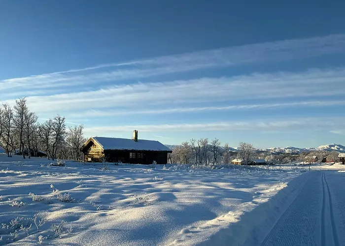 Traditional Log At Reineskarvet Дом отдыха