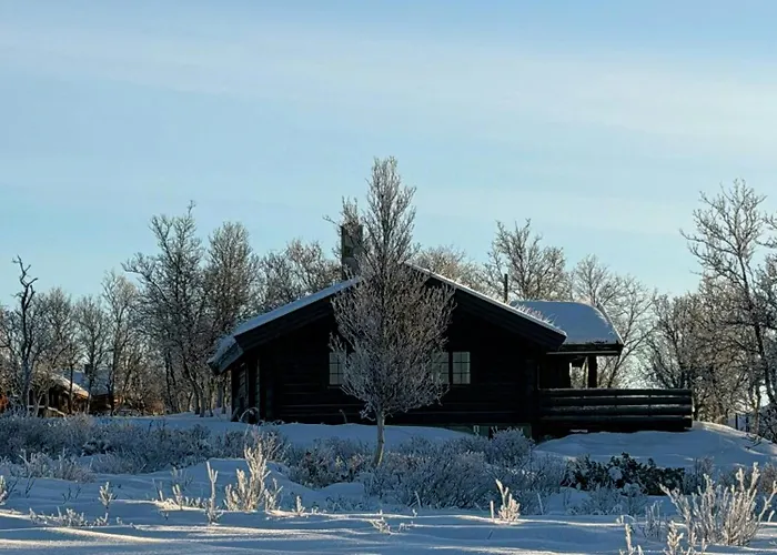 Дом отдыха Traditional Log At Reineskarvet Ол