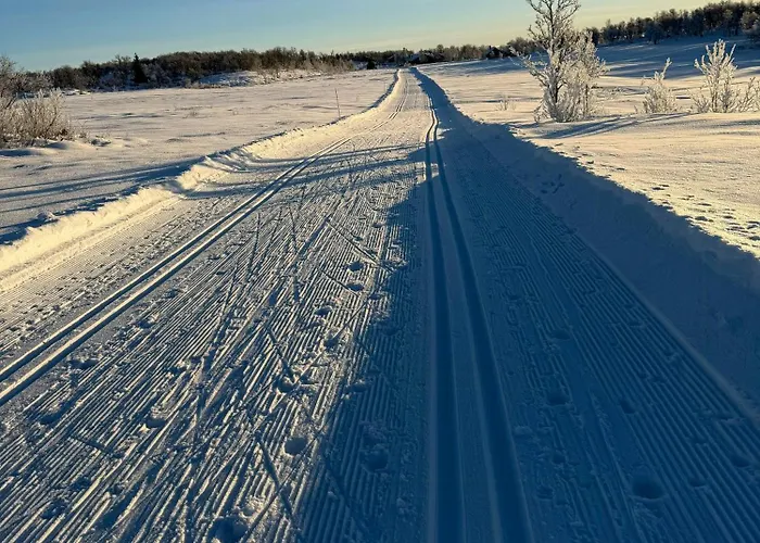 Traditional Log At Reineskarvet * Ол