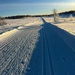 Traditional Log At Reineskarvet * Al