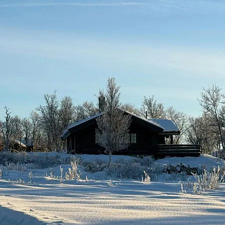 Vakantiehuis Traditional Log At Reineskarvet Ål