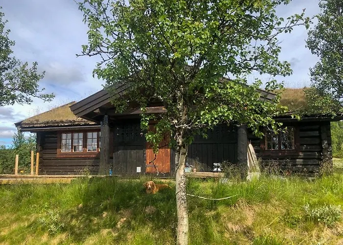 Traditional Log At Reineskarvet * 알