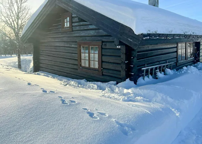 펜션 Traditional Log At Reineskarvet