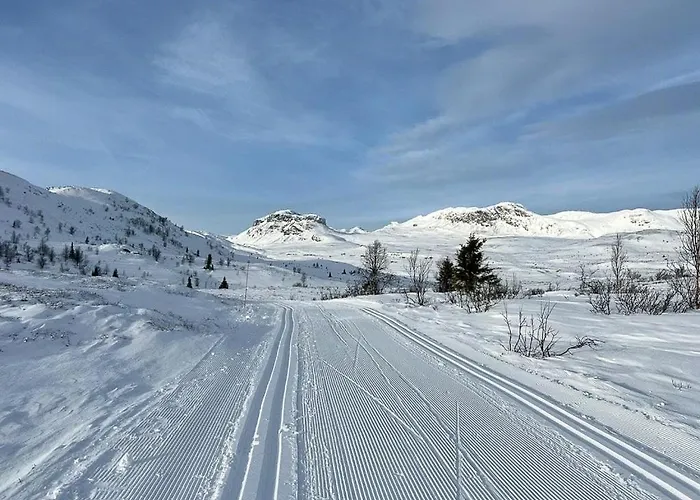 Traditional Log At Reineskarvet *
